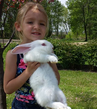 Flemish-Giant-Rabbit-White